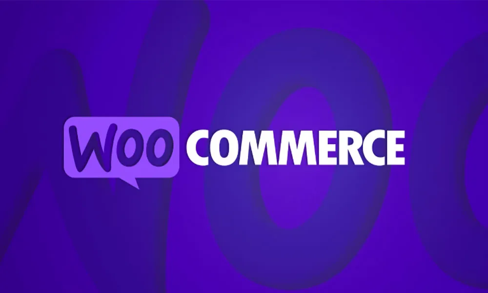 هاست ووکامرس چیست