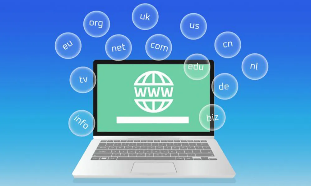 دامنه چیست؟