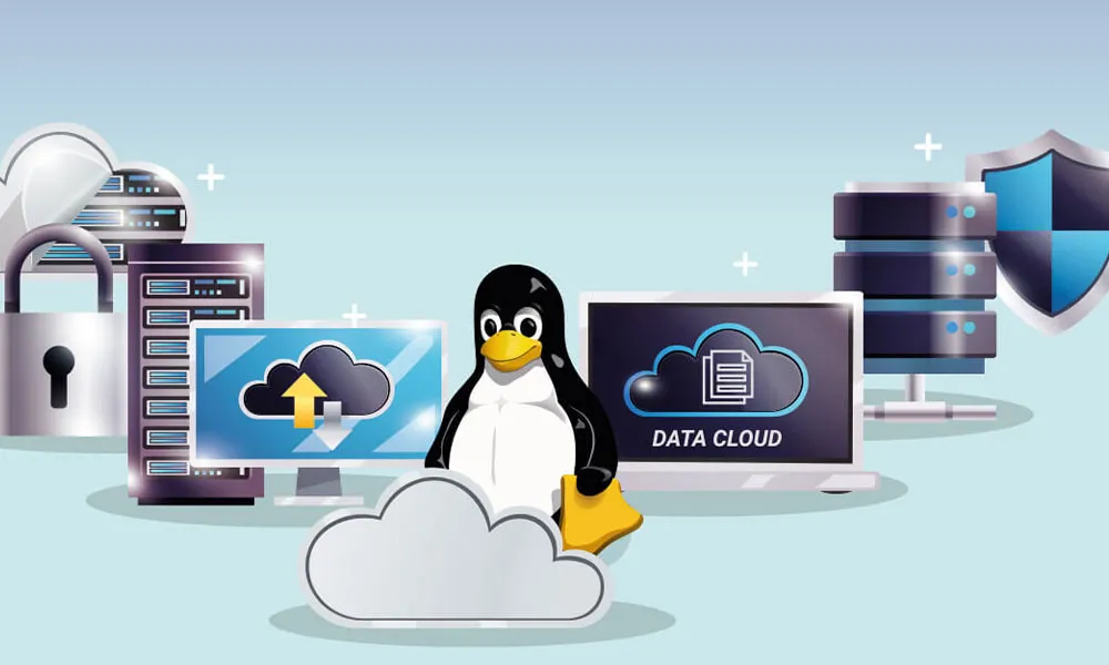 هاست لینوکس چیست