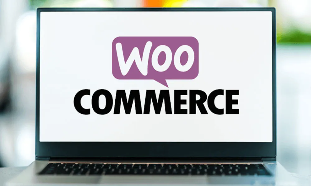 هاست ووکامرس چیست