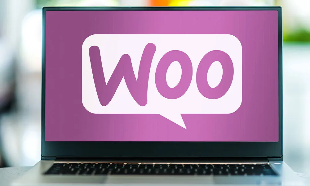 هاست ووکامرس چیست