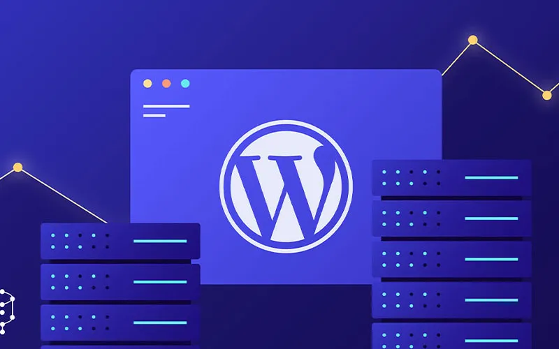 چرا انتخاب هاست مناسب در وردپرس اهمیت دارد؟